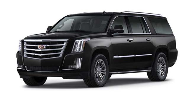 Executive Cadillac Escalade SUV